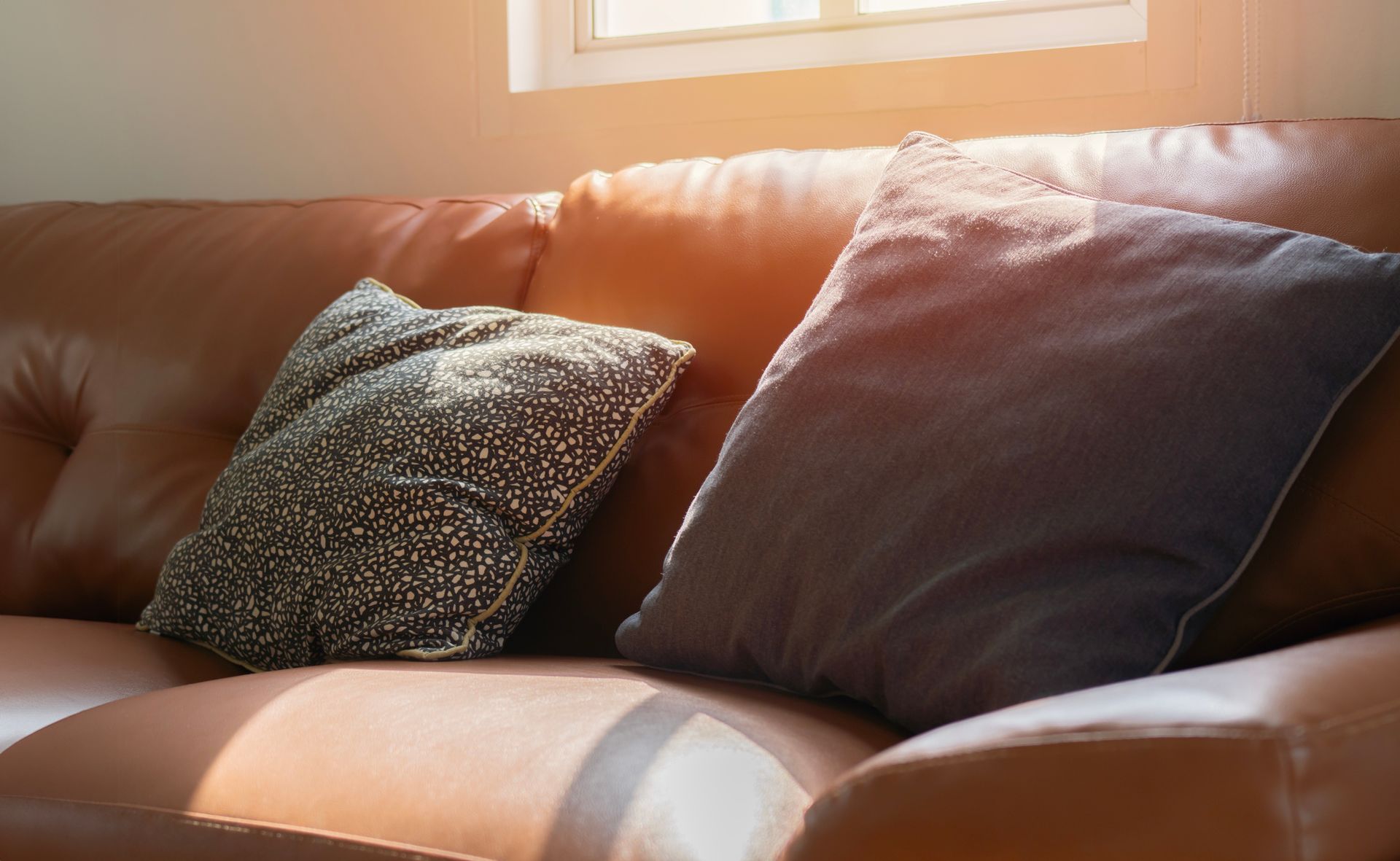 Transition to Healing - Housing Placement, Career Guidance, and Supportive Services